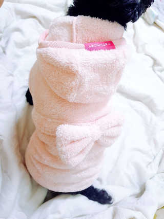 차재림님이 올린 리뷰 사진 2