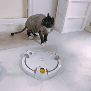 이잉룽님이 올린 리뷰 사진 3