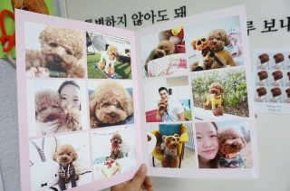 초코님이 올린 리뷰 사진 3