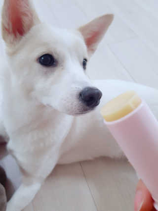 GaeulJu님이 올린 리뷰 사진 1