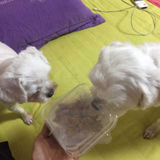 인애님이 올린 리뷰 사진 1