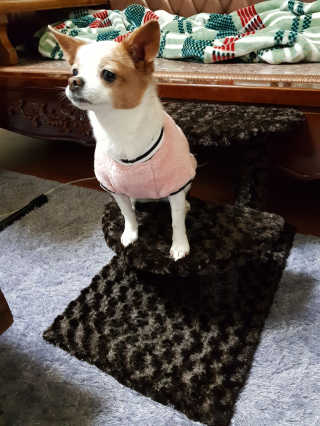 송영주님이 올린 리뷰 사진 3