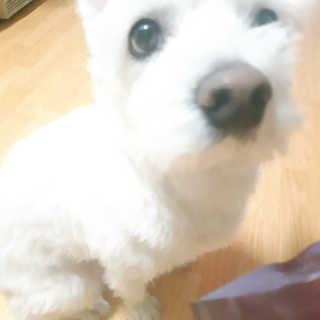MK님이 올린 리뷰 사진 1