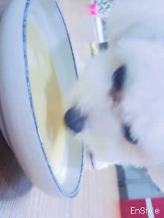 지영님이 올린 리뷰 사진 2