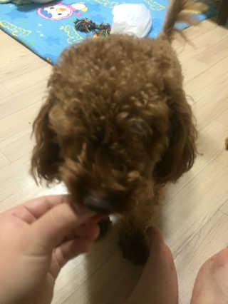 김세희님이 올린 리뷰 사진 4