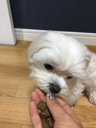 민콩님이 올린 리뷰 사진 2