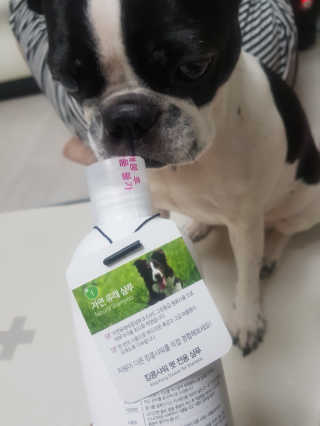 삼꽃단하나님이 올린 리뷰 사진 4