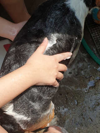 beaglelove님이 올린 리뷰 사진 2