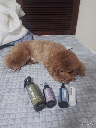쪼꼬짱님이 올린 리뷰 사진 3