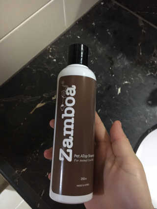 xion님이 올린 리뷰 사진 1