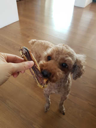 삐삐맘님이 올린 리뷰 사진 1