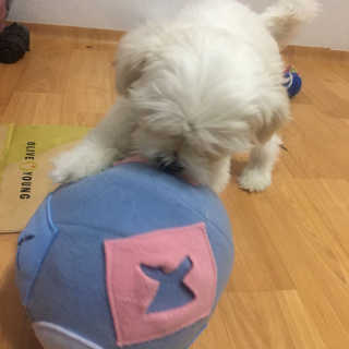 정꾸꾸님이 올린 리뷰 사진 4