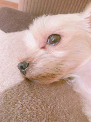 소카이트님이 올린 리뷰 사진 2