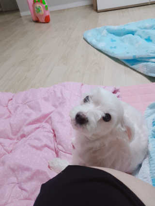 가람민준하람맘님이 올린 리뷰 사진 3