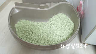 메데카솔님이 올린 리뷰 사진 3