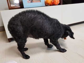고옴이님이 올린 리뷰 사진 3