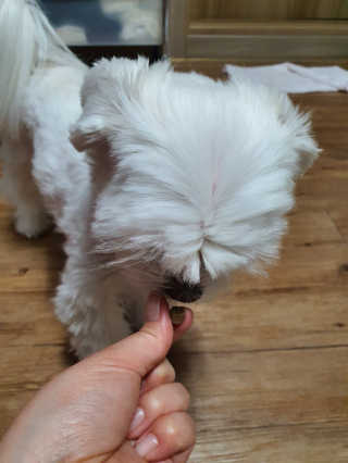 뽀오오옹님이 올린 리뷰 사진 4
