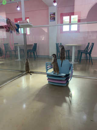 강북문재인님이 올린 리뷰 사진 1