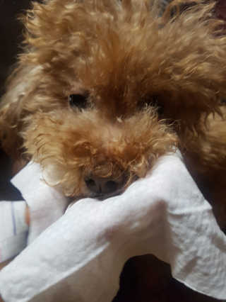 금수니맘님이 올린 리뷰 사진 3