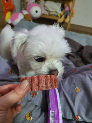 뽀오오옹님이 올린 리뷰 사진 3