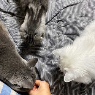 융융이님이 올린 리뷰 사진 4
