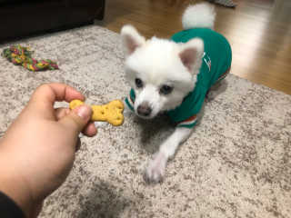 inflower님이 올린 리뷰 사진 4