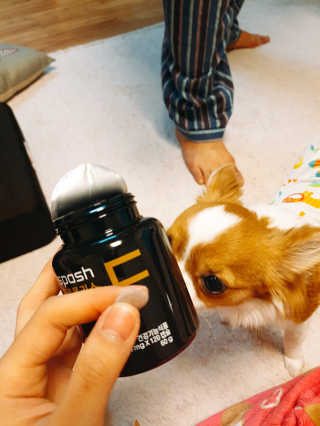 꼬몽쓰님이 올린 리뷰 사진 3