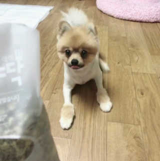 정화님이 올린 리뷰 사진 2