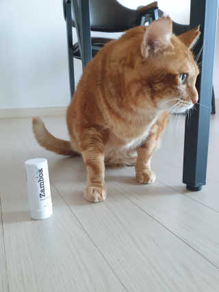 강미주님이 올린 리뷰 사진 1