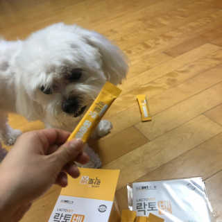 유산균하우스 [프로바이오닉]락토벳 — 5점을 준 리뷰어가 2019년 7월 올린 사용 사진