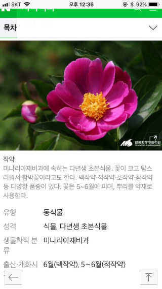 백아율 작약꽃 클렌징폼 — 5점을 준 리뷰어가 2018년 8월 올린 사용 사진