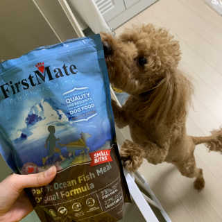 밤코비님이 올린 리뷰 사진 2