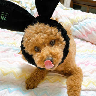 파이님이 올린 리뷰 사진 3