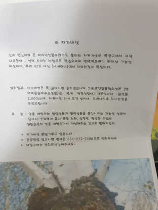 하승님이 올린 리뷰 사진 3