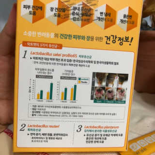 유산균하우스 [프로바이오닉]락토벳 — 4.5점을 준 리뷰어가 2019년 7월 올린 사용 사진