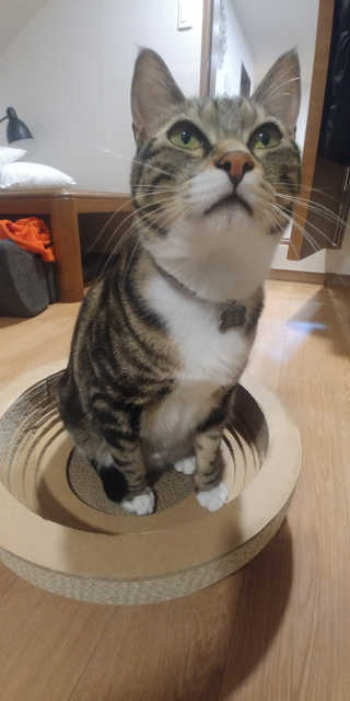 셍블리님이 올린 리뷰 사진 2