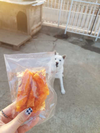 [펫토리아] 뚝딱뚝딱 400g 강아지 간식 베스트5종 — 5점을 준 리뷰어가 2019년 1월 올린 사용 사진