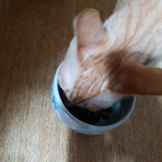 르네링님이 올린 리뷰 사진 1