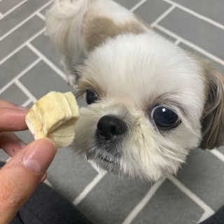꾸웅다인님이 올린 리뷰 사진 1
