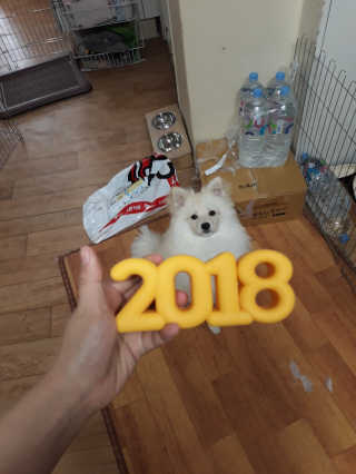 김도연님이 올린 리뷰 사진 4