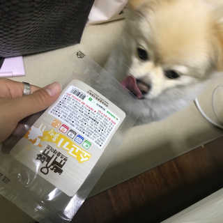 펫츠플레이트 동결건조간식 기호성 테스트 8종 — 3.83점을 준 리뷰어가 2018년 5월 올린 사용 사진