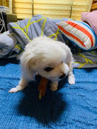 뿌잉꾸님이 올린 리뷰 사진 2