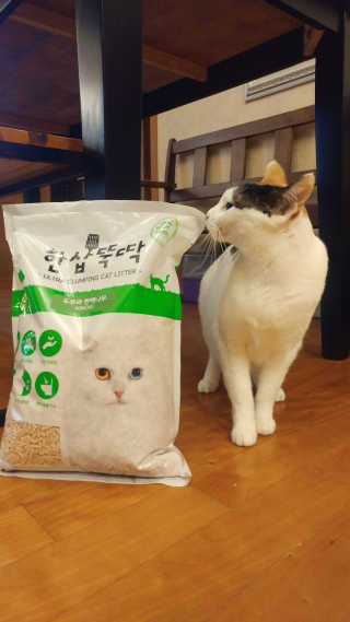 [펫토리아] BEST 고양이두부모래 6L 한삽뚝딱 — 5점을 준 리뷰어가 2018년 12월 올린 사용 사진