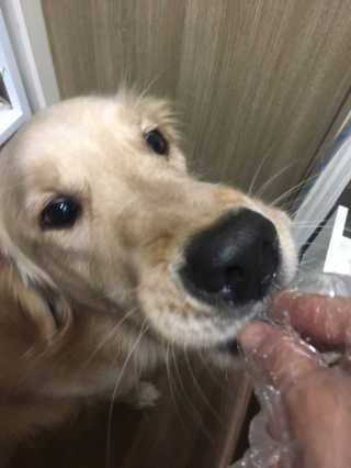 pang2님이 올린 리뷰 사진 1