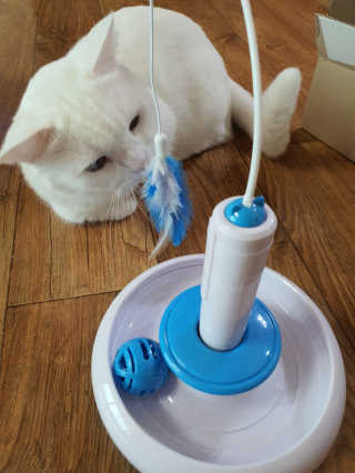 그리다님이 올린 리뷰 사진 1