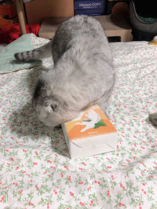 토모님이 올린 리뷰 사진 2