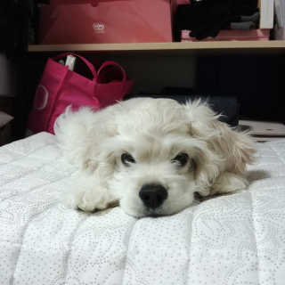 째니니님이 올린 리뷰 사진 1