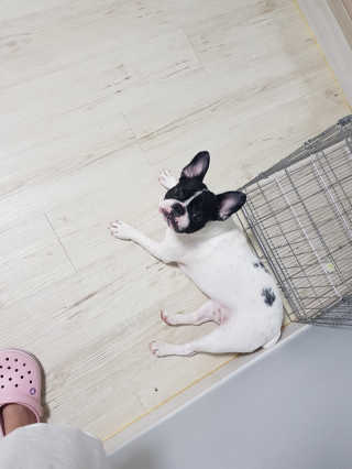 란나님이 올린 리뷰 사진 1