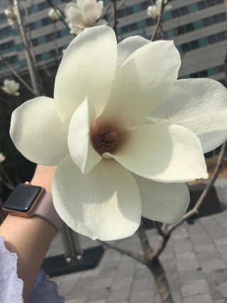 Julia님이 올린 리뷰 사진 2