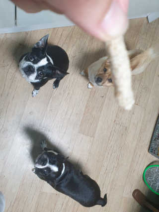 안진희님이 올린 리뷰 사진 1
